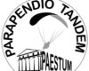 Parapendio Tandem